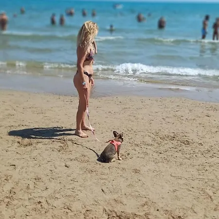 A Sunny Place